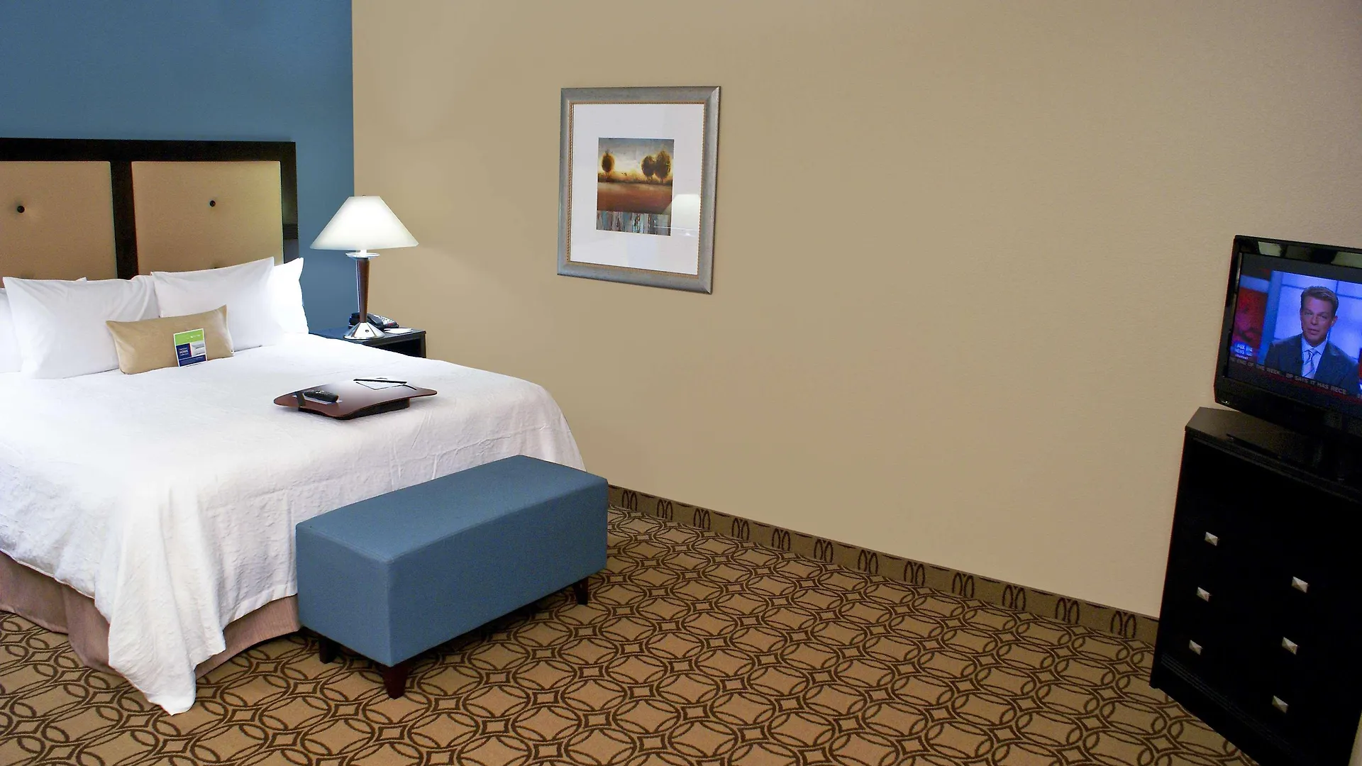 Hotel Hampton Inn & Suites Charlotte-Airport