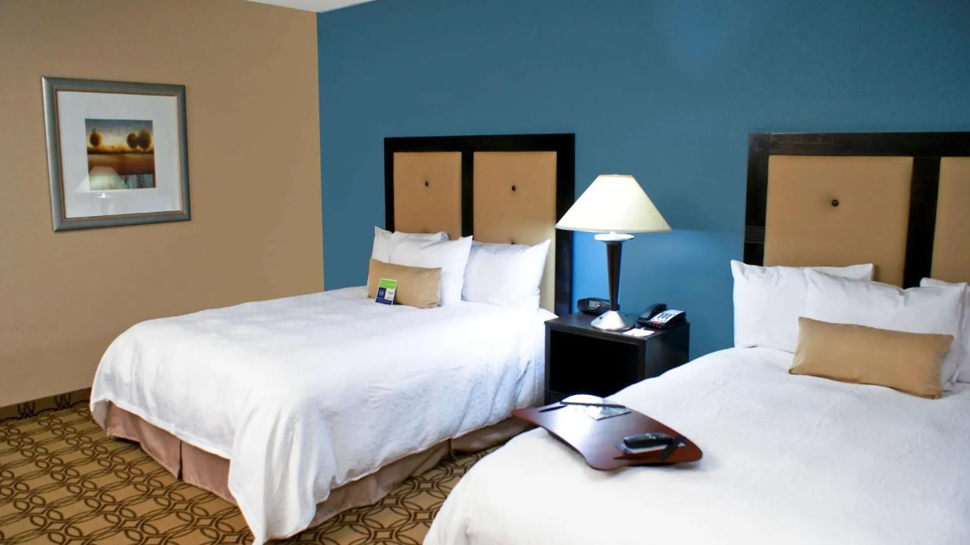 Hotel Hampton Inn & Suites Charlotte-Airport
